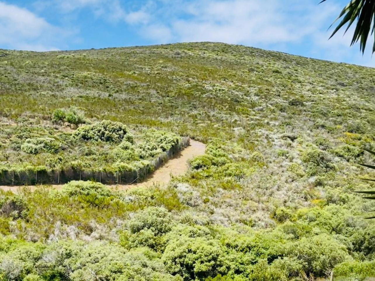 Hotel Vibes Cape Town Plattekloof Стая снимка